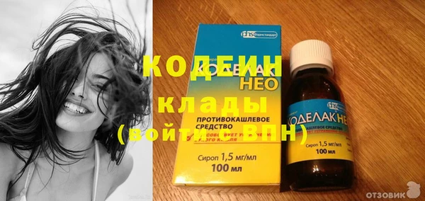 дурь Алексин