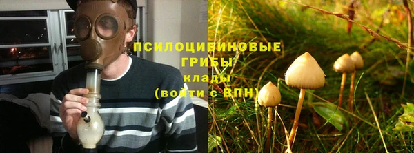 дурь Алексин
