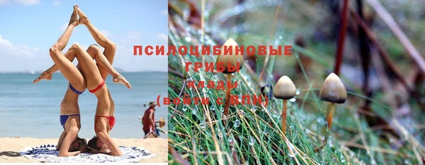 мдпв Абдулино